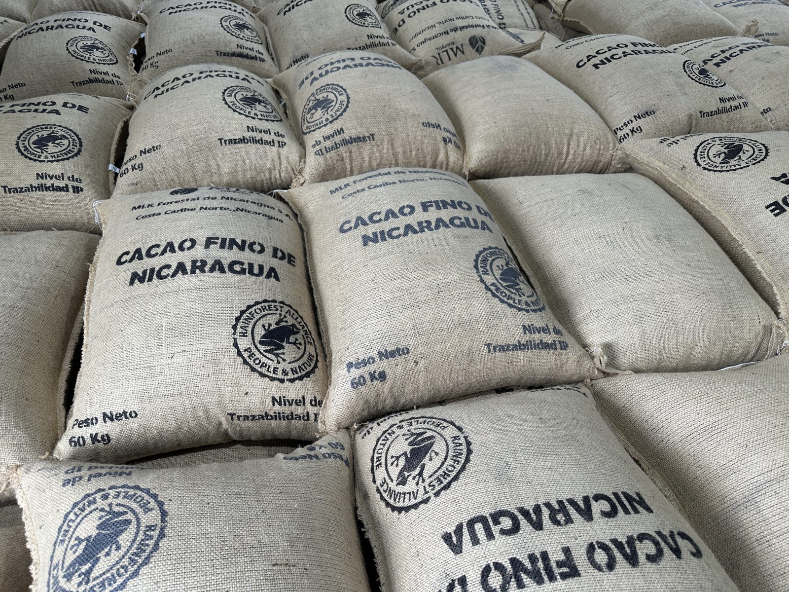 Cacao fino de Nicaragua ensacado en origen