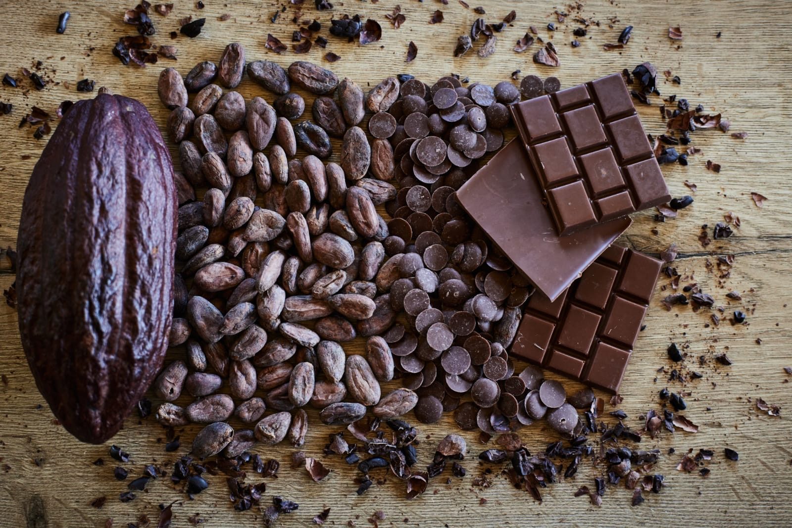 Cacao y chocolate